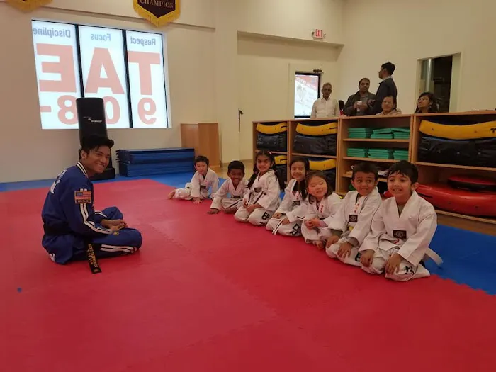 Dream Taekwondo Picture 1