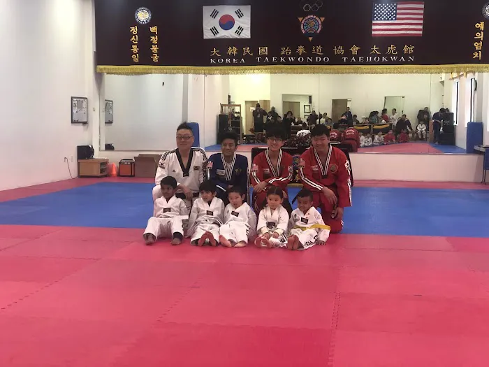 Dream Taekwondo Picture 4