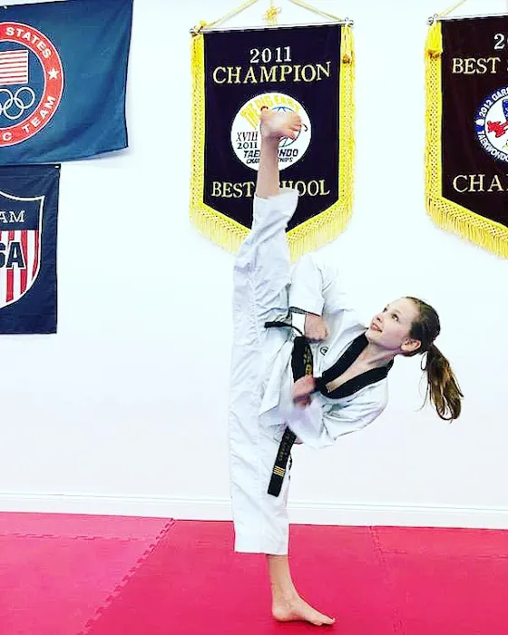 A PLUS GRAND MASTER JEON TAE KWON DO MARTIAL ARTS/KARATE Picture 1
