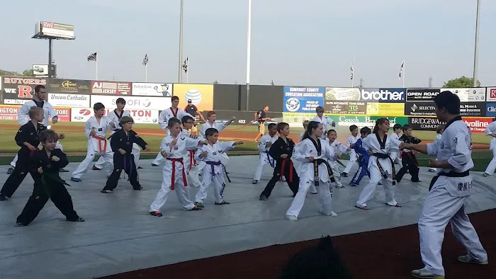 A PLUS GRAND MASTER JEON TAE KWON DO MARTIAL ARTS/KARATE Picture 8
