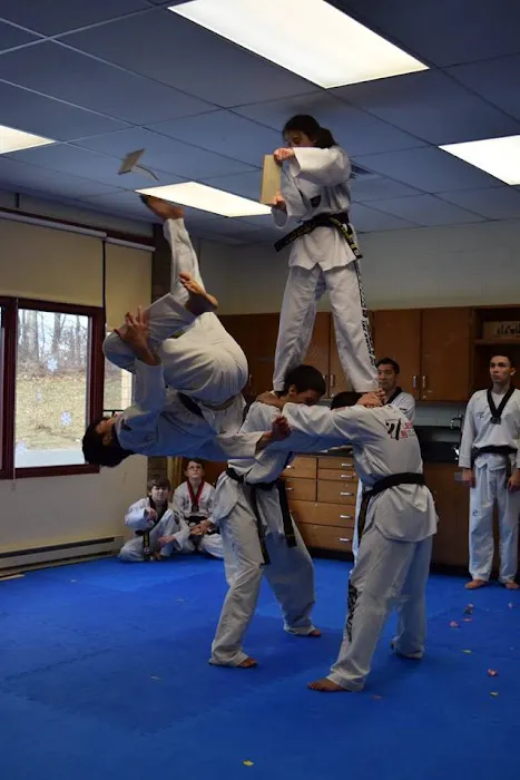 A PLUS GRAND MASTER JEON TAE KWON DO MARTIAL ARTS/KARATE Picture 6