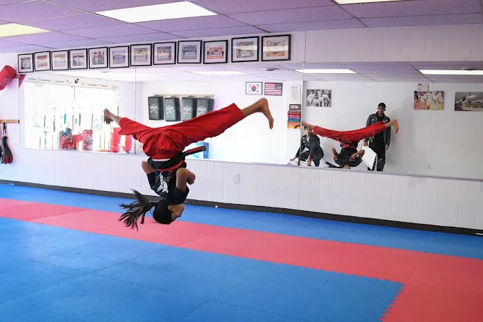 Master Lee - KOREAN TKD Picture 3