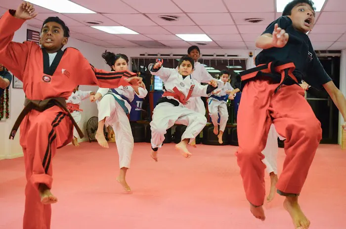 Master Lee - KOREAN TKD Picture 2