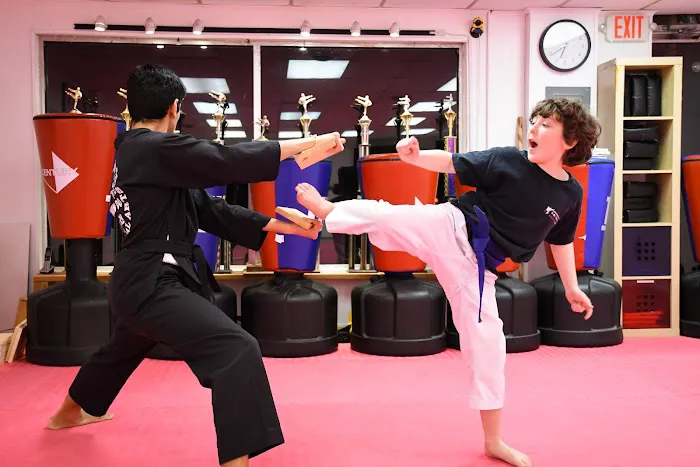 Master Lee - KOREAN TKD Picture 1