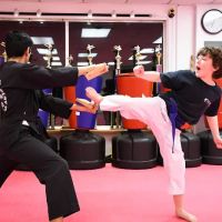 Master Lee - KOREAN TKD ico