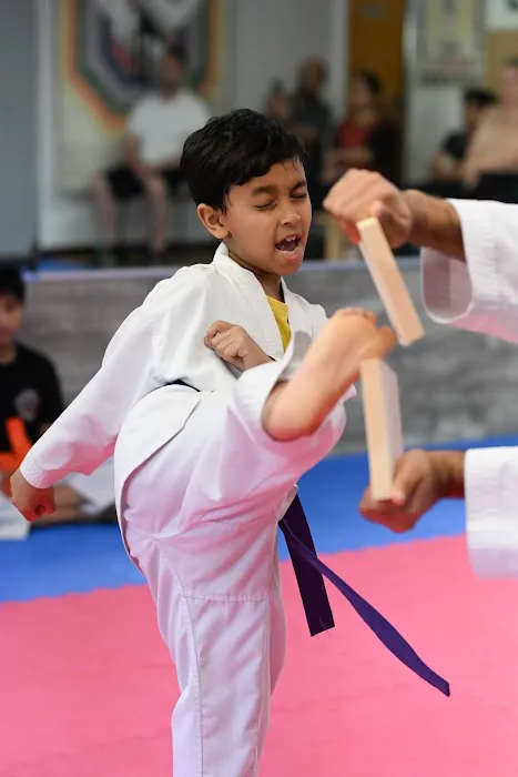 Master Lee - KOREAN TKD Picture 9