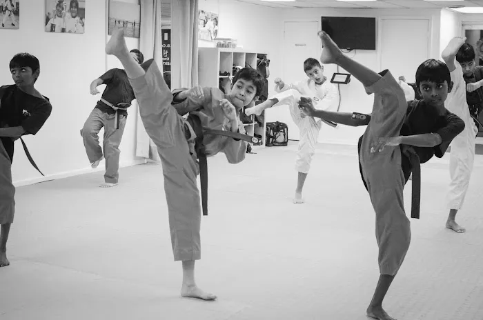Master Lee - KOREAN TKD Picture 8