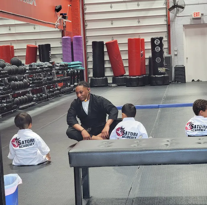 Satori Academy of Martial Arts Picture 1