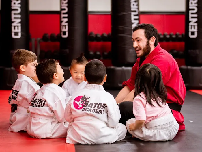 Satori Academy of Martial Arts Picture 2