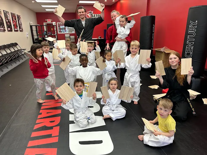 Satori Academy of Martial Arts Picture 3
