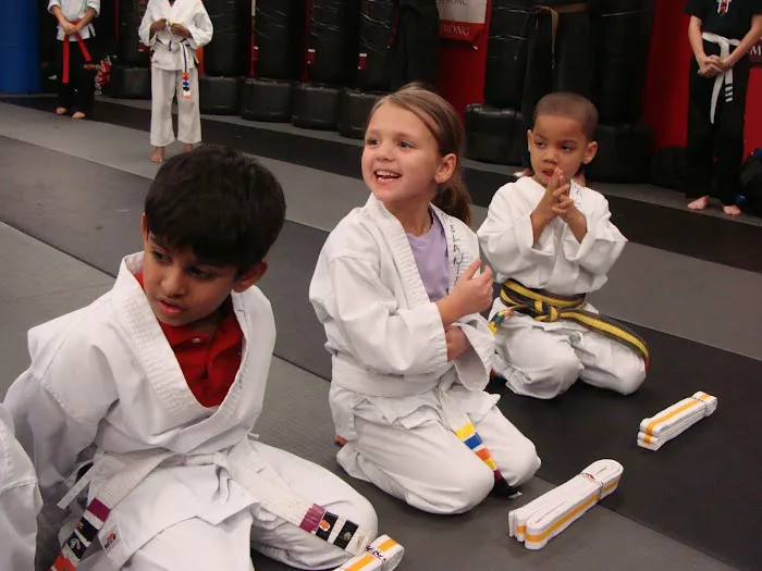 Satori Academy of Martial Arts Picture 7
