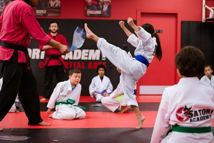 Satori Academy of Martial Arts Picture 5