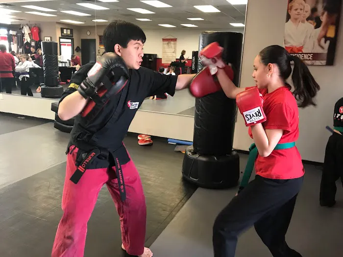 Satori Academy of Martial Arts Picture 9