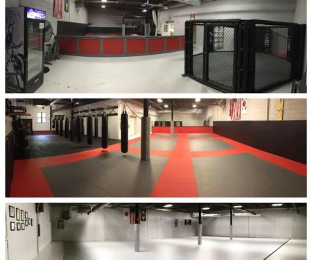 Pure Mixed Martial Arts