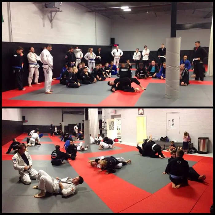 Pure Mixed Martial Arts Picture 4
