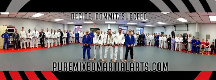 Pure Mixed Martial Arts Picture 5