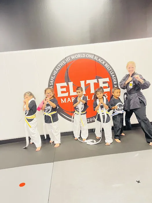 Elite Martial Arts [Rockaway] - A Leadership Academy Picture 3