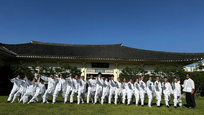 Elite TOMA Martial Arts Academy Picture 1