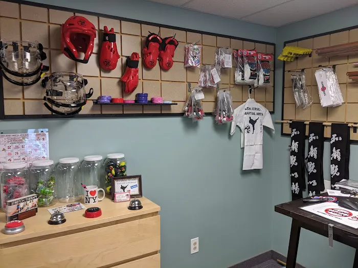 New Jersey Martial Arts Academy Picture 3