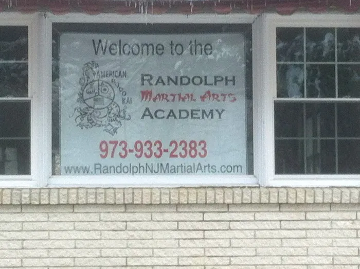 Randolph Martial Arts Academy Picture 5