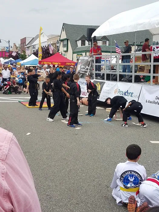 International Martial Arts Picture 1