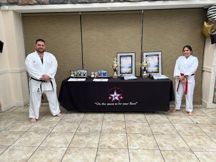 All Star Martial Arts Picture 6