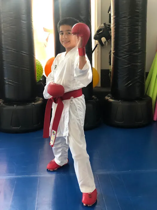 All Star Martial Arts Picture 3