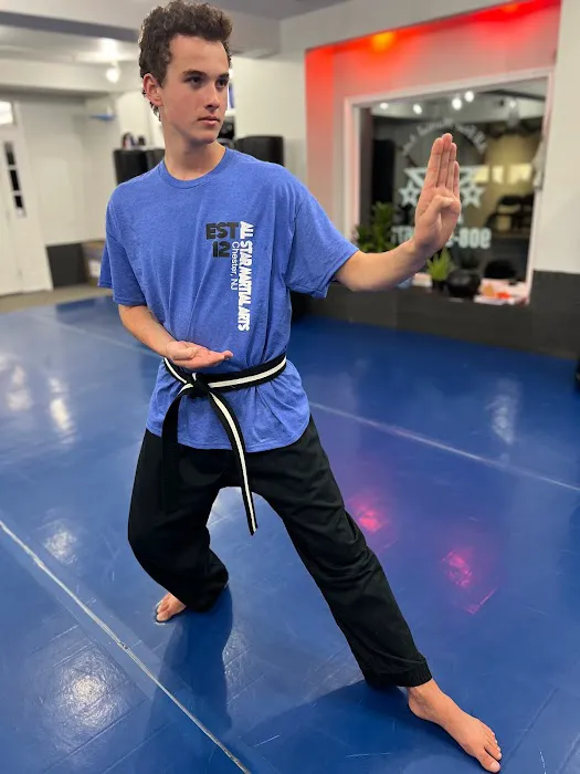 All Star Martial Arts Picture 8
