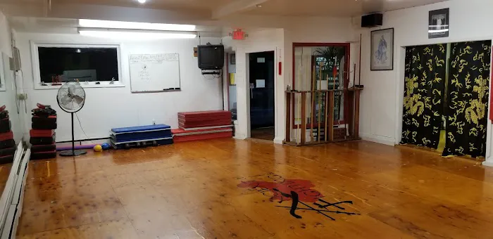 AFA Martial Arts Picture 4