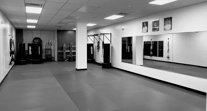 AFA Martial Arts Picture 5