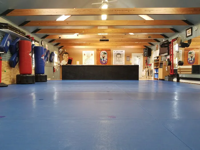 New Jersey Martial Arts Academy Picture 2