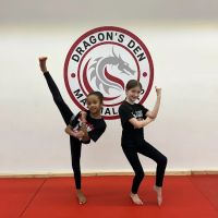 Dragons Den Martial Arts ico