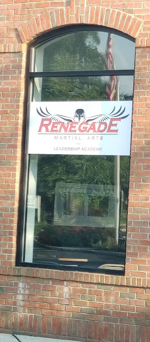 Renegade Martial Arts & Leadership Academy Picture 2