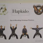 Hapkido Center