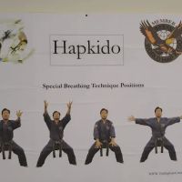 Hapkido Center ico