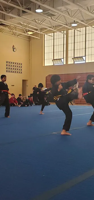 Freedom Martial Arts Picture 6