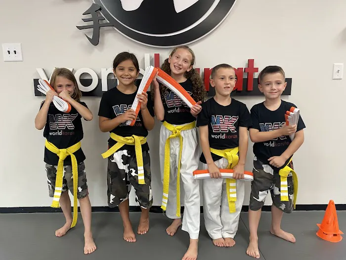 World Karate Picture 3
