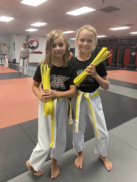 World Karate Picture 9
