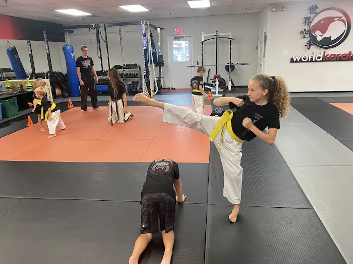 World Karate Picture 7
