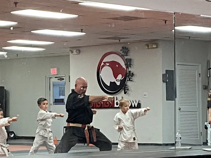 World Karate Picture 5