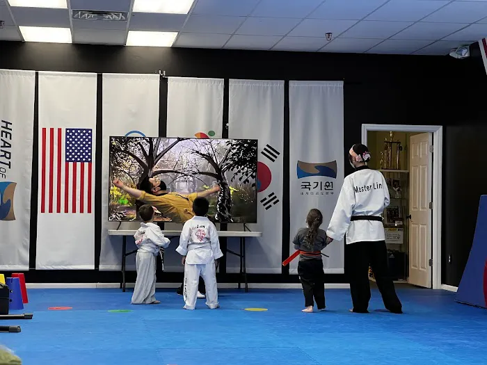 Lion Martial Arts Taekwondo Picture 4