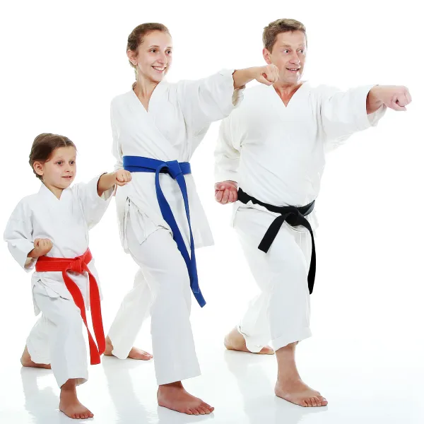 Synergy Martial Arts Picture 4