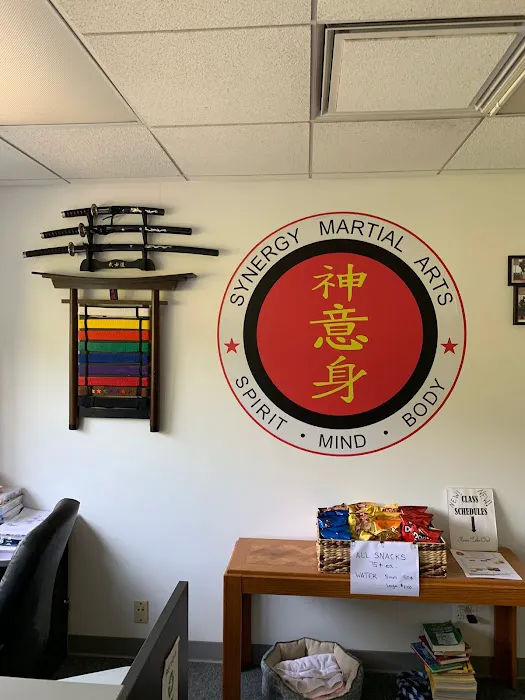 Synergy Martial Arts Picture 2