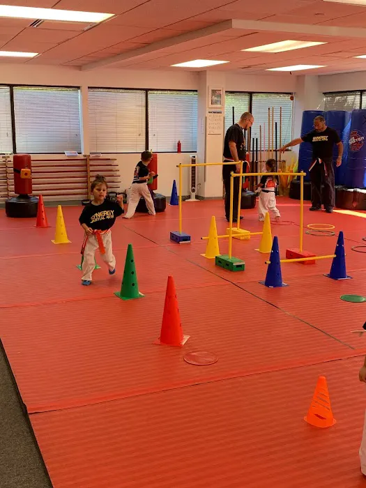 Synergy Martial Arts Picture 6