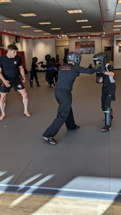 Tiger Schulmann's Martial Arts (Freehold, NJ) Picture 1