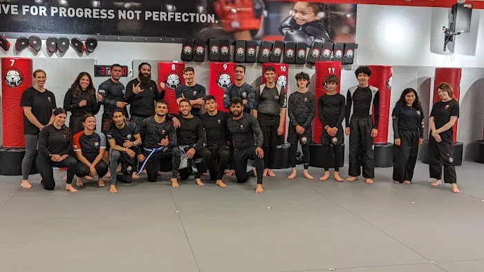 Tiger Schulmann's Martial Arts (Freehold, NJ) Picture 6