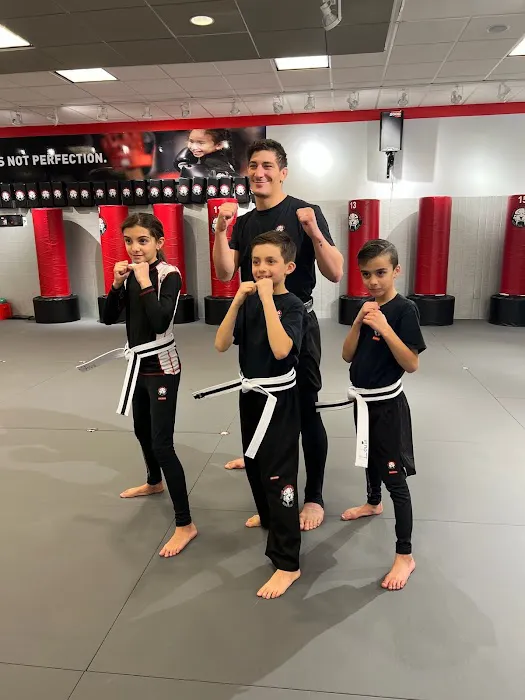 Tiger Schulmann's Martial Arts (Freehold, NJ) Picture 9