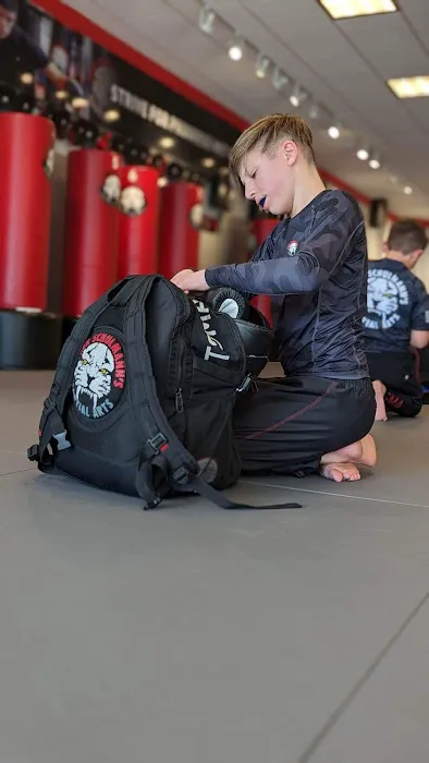 Tiger Schulmann's Martial Arts (Freehold, NJ) Picture 8