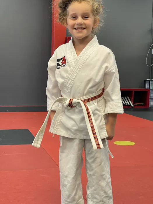 Innovate Martial Arts Picture 7