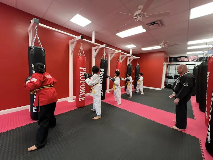 New Jersey TaeKwonDo Kickboxing Academy Picture 3